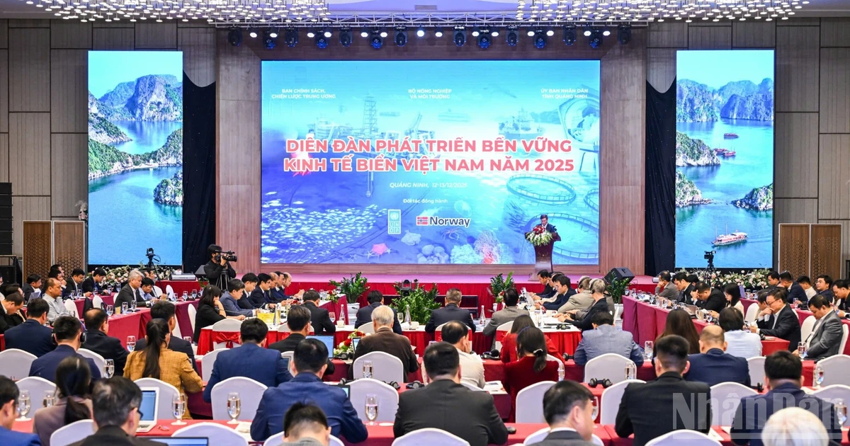 An overview of the Viet Nam Marine Economy Sustainable Development Forum 2025. (Photo: THANH DAT)