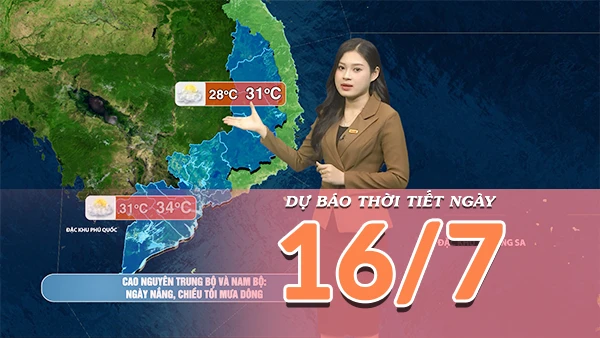 [Video] Dự báo thời tiết ngày 16/7/2026: Mưa dông gia tăng tại vùng núi Bắc Bộ