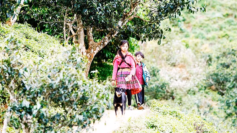 Người của rừng