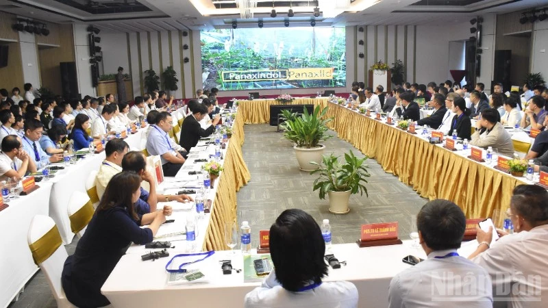 Đà Nẵng nâng tầm giá trị sâm Ngọc Linh