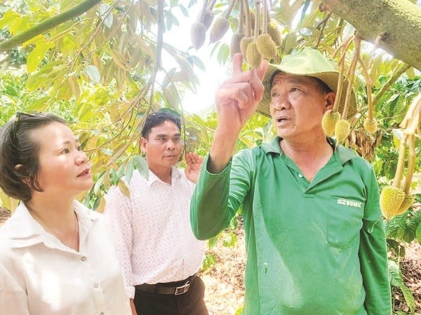Bài viết