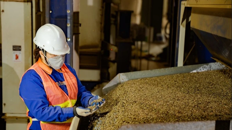Viet Nam is the second largest coffee supplier to the Japanese market.