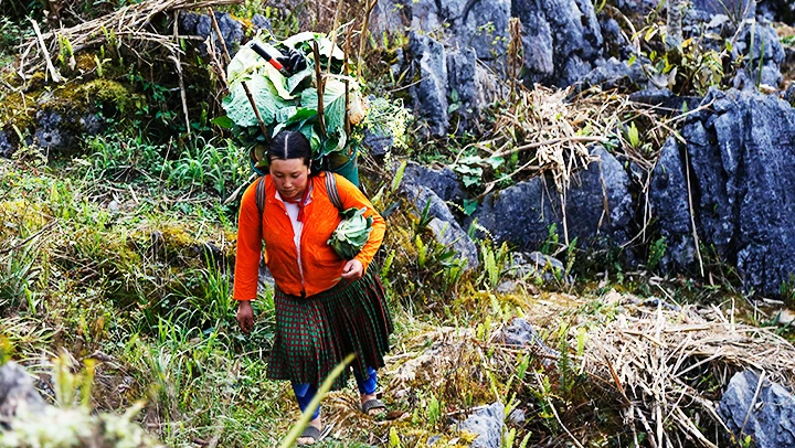 Hien Rau Nắng lên đi hái rau rừng