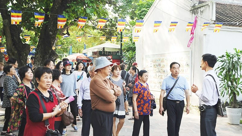 Bài viết