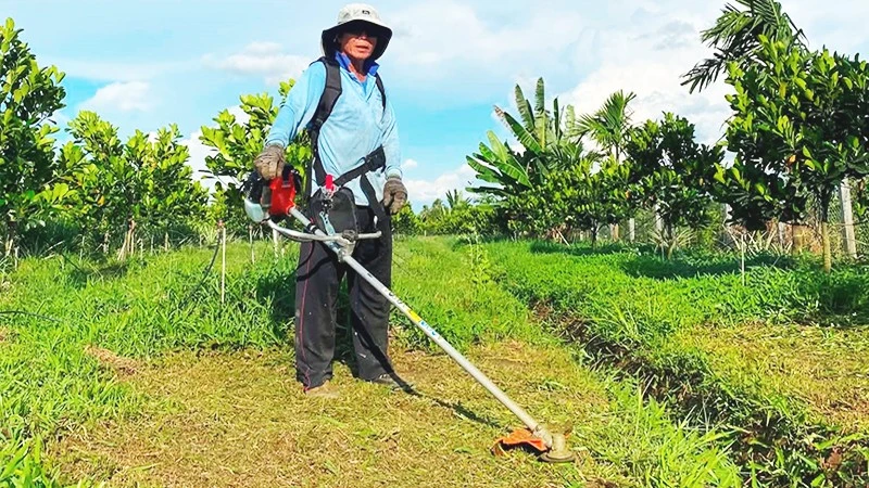 Những ngã ba đời