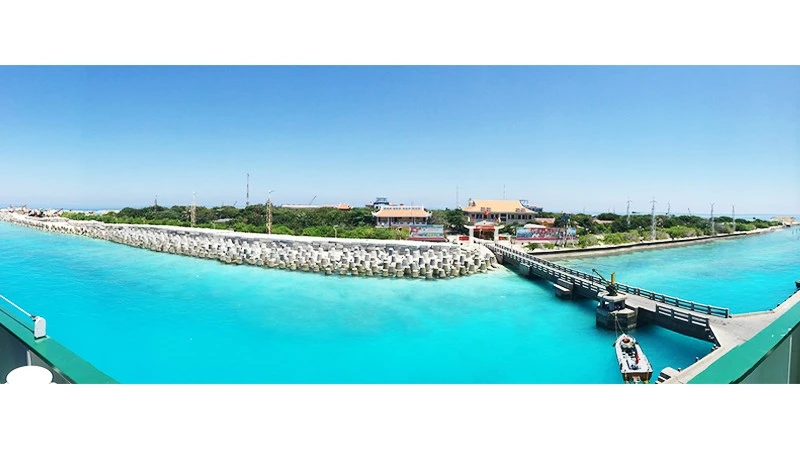 Những hòn đảo đang lớn (kỳ 1)