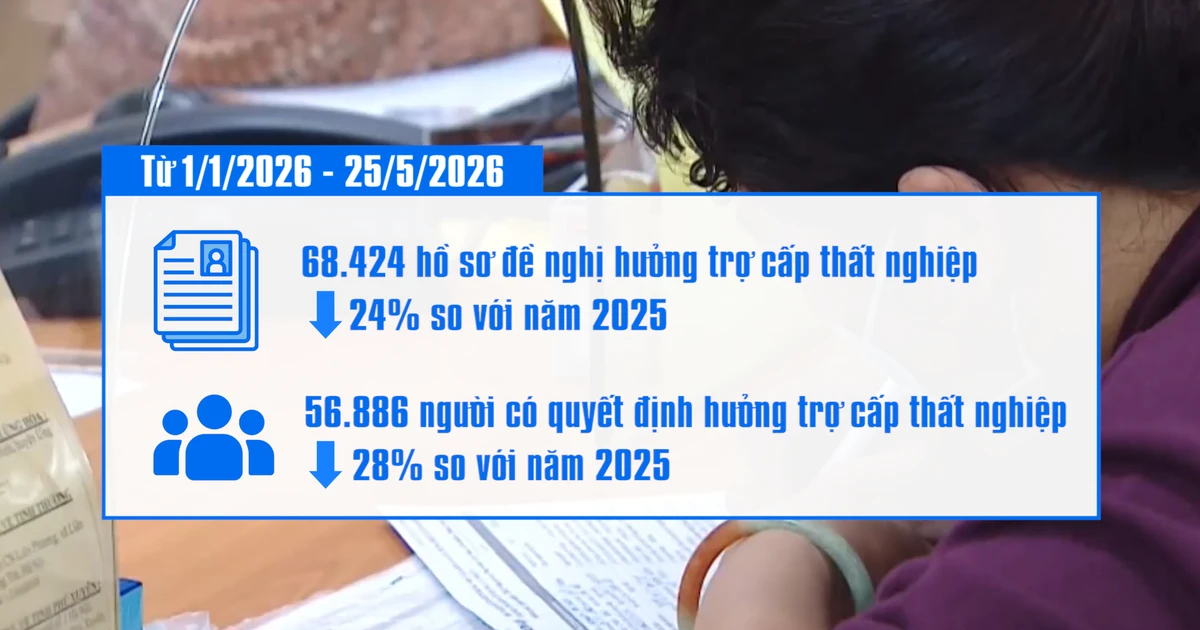 [Video] TP Hồ Chí Minh: Hồ sơ hưởng trợ cấp thất nghiệp giảm hơn 24% trong 5 tháng đầu năm