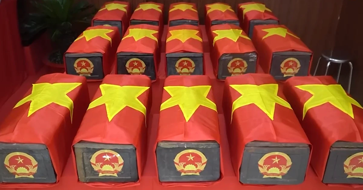 [Video] Đã quy tập 29 bộ hài cốt liệt sĩ tại Công viên Lê Thị Riêng