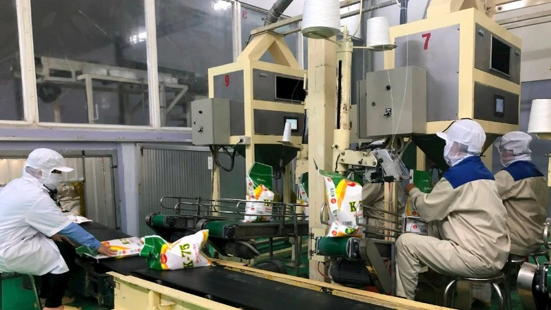 K-75 rice production line.