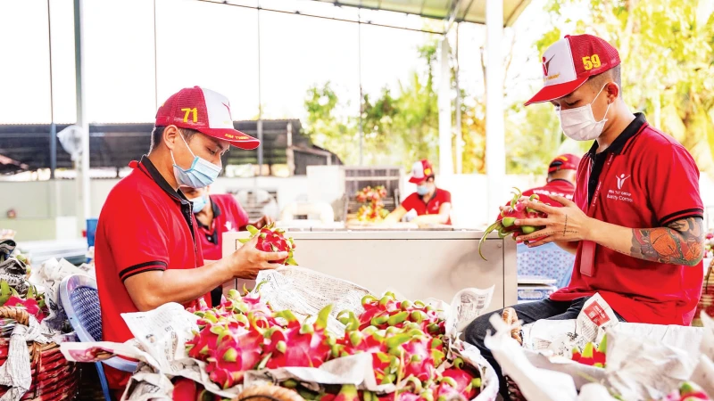 Thích ứng để đẩy mạnh xuất khẩu thị trường Halal