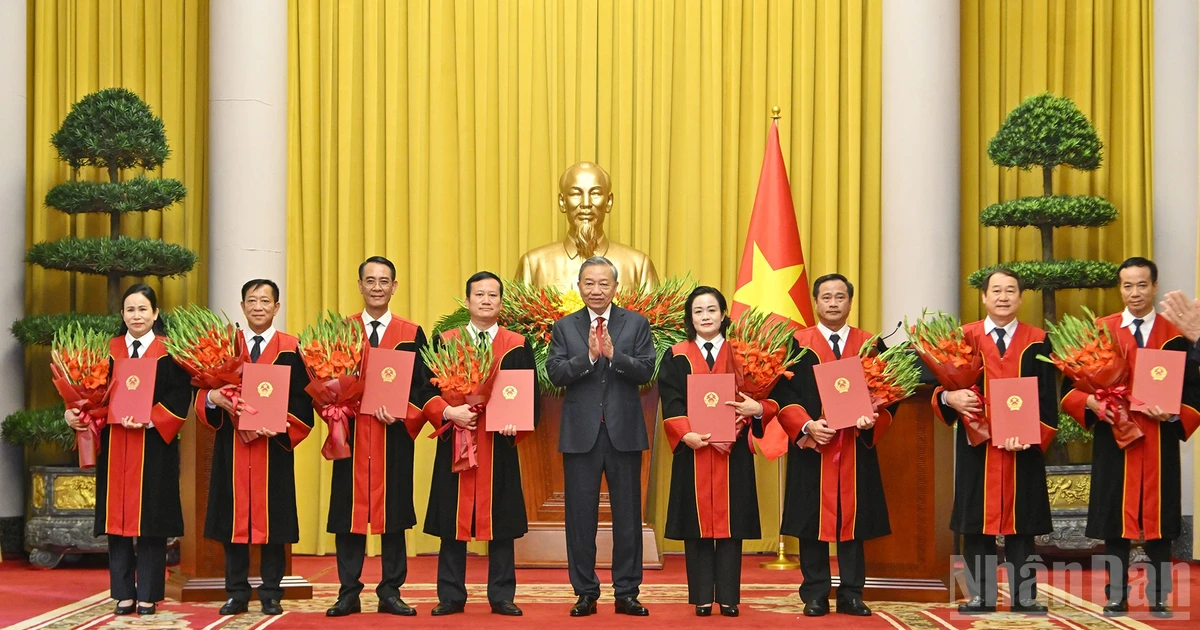 Tổng Bí thư Tô Lâm trao quyết định bổ nhiệm Thẩm phán TAND tối cao