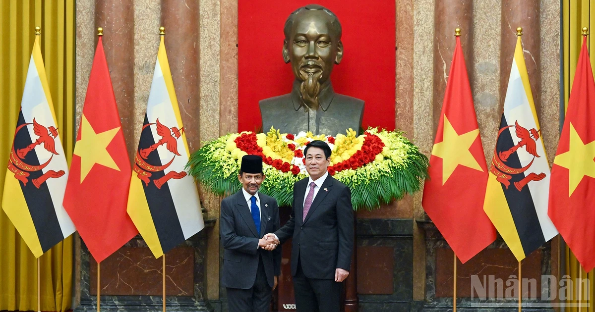 President Luong Cuong and Sultan of Brunei Darussalam Haji Hassanal Bolkiah.