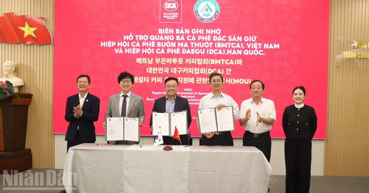 邦美蜀咖啡协会与大邱咖啡协会及埃德小姐品牌签署谅解备忘录，共同支持精品咖啡推广。