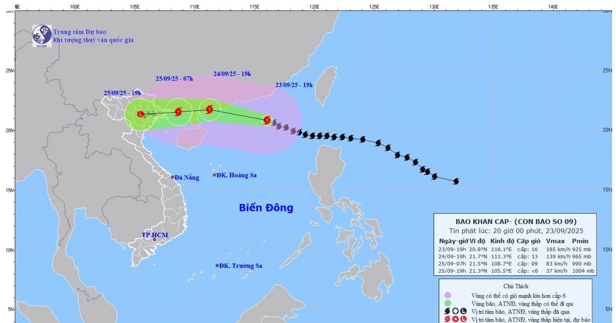 Bão số 9 giảm xuống cấp 9 khi đổ bộ vào Quảng Ninh-Hải Phòng