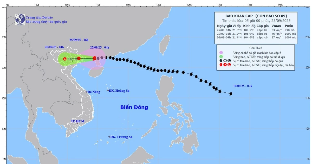 Bão số 9 (Ragasa) giật cấp 11, cách Móng Cái (Quảng Ninh) khoảng 170km