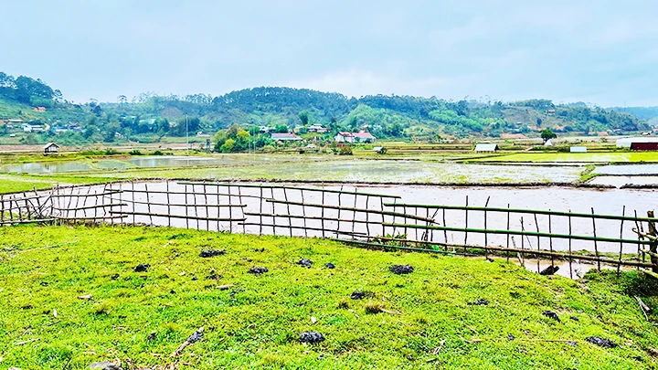 Dung dị với Kon Vơng Kia