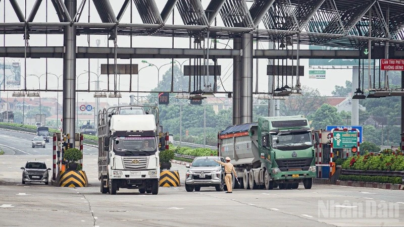 (Ảnh minh họa: Kim Cương)