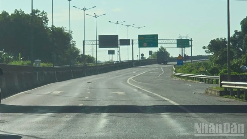 Lún sống trâu trên mặt đường cao tốc Đà Nẵng-Quảng Ngãi. (Ảnh: Báo Nhân Dân)