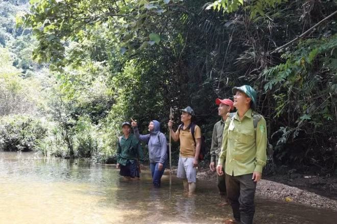 Lực lượng kiểm lâm và người dân địa phương trong khu vực suối Khe Cố, Tiểu khu 730, được khoanh nuôi, bảo vệ nguồn lợi thủy sản. (Ảnh: TTXVN)