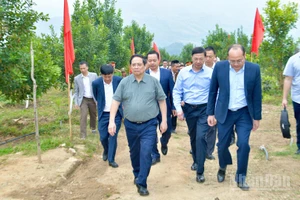 Thủ tướng Chính phủ Phạm Minh Chính thăm mô hình phát triển kinh tế nông nghiệp, trồng cây mắc-ca tại xã Pu Nhi. (Ảnh: THANH GIANG)