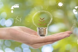 Thủ tướng Chính phủ chỉ đạo tăng cường thực hiện tiết kiệm năng lượng, thúc đẩy chuyển dịch năng lượng. (Ảnh: VGP)