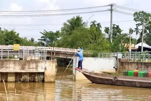 Quản lý và sử dụng hiệu quả tài nguyên nước lưu vực sông. (Ảnh: VGP)