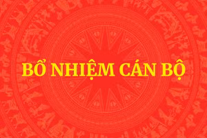 Bổ nhiệm Trợ lý Thủ tướng, Phó Thủ tướng Thường trực Chính phủ