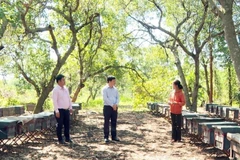 Bà Hoàng Thị Khôi, một trong những hộ dân tộc Tày ở xã Thiện Hưng, tỉnh Đồng Nai vay vốn tín dụng chính sách để nuôi dê, chăm sóc được vườn tiêu và nuôi ong lấy mật, thu nhập khoảng 150 triệu đồng/năm.