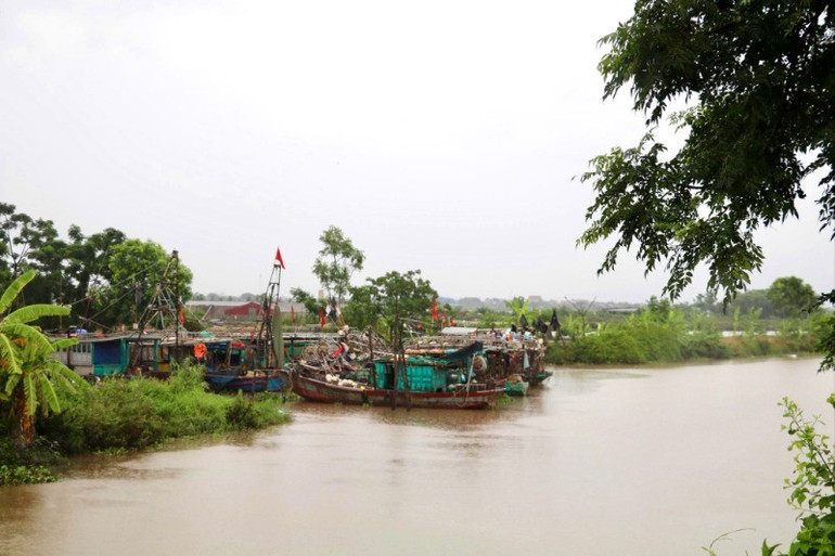 100% tàu thuyền đã về nơi neo đậu. img-9827-5493.jpg