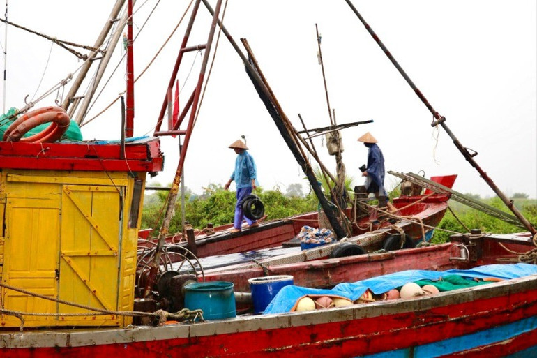 Ngư dân chằng chống, gia cố tàu thuyền để ứng phó với bão số 3. img-9831-6580.jpg