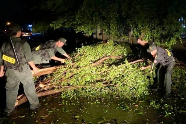 The Mobile Police Department of Ninh Binh Provincial Police has synchronously and drastically deployed measures to prevent and combat storm No. 3; in which, it has mobilized a maximum of 100% of its on-duty and standby personnel, and organized and deployed working groups to grassroots areas to coordinate with functional units to prevent and combat storms. bfc0d476-34ce-4bb4-8c32-62bbafdda3f3-3706.jpg