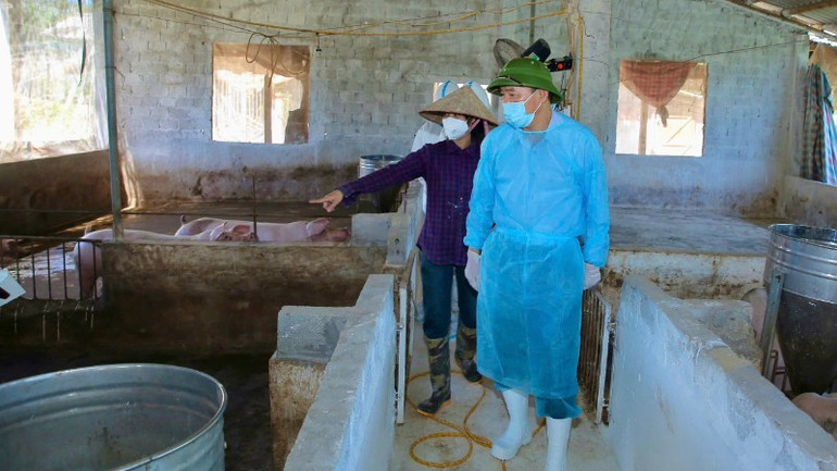 Trước đó, Đoàn đã đi kiểm tra, đôn đốc công tác phòng, chống bệnh dịch tả lợn châu Phi tại thôn Quỳnh Phong 3, phường Tây Hoa Lư, tỉnh Ninh Bình. e8e8566e-213b-49c6-80a3-bc11857a388d-6687.jpg