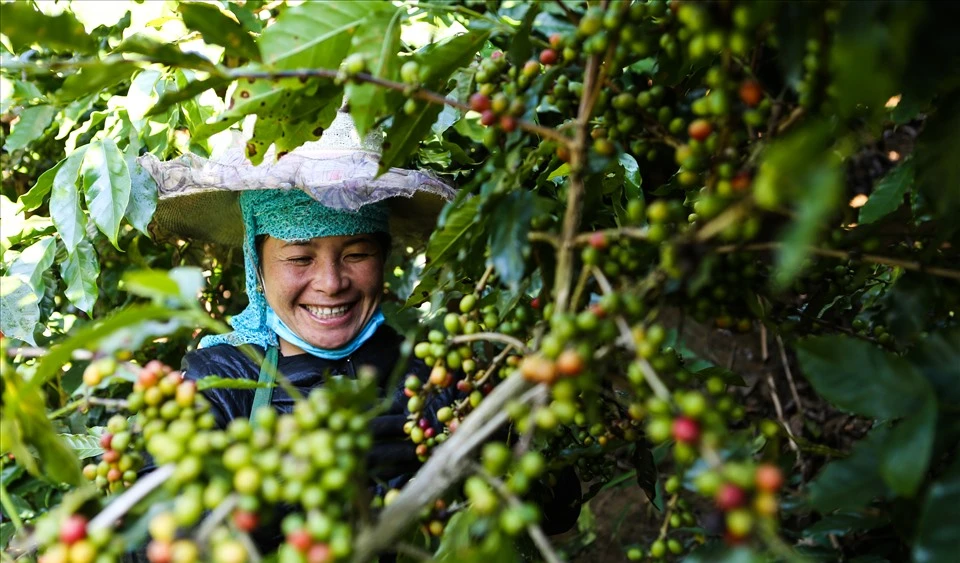 Aratay Coffee: Gắn sao cho sản phẩm OCOP bằng “sự tử tế”