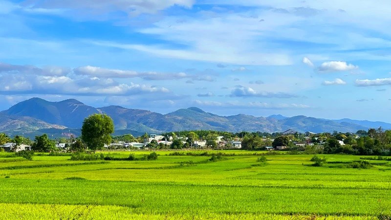 Vẻ đẹp trù phú, thẳm xanh của miền biên giới Bờ Y.