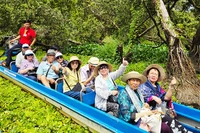 Rừng ngập mặn tại các tỉnh miền tây được du khách yêu thích. Ảnh: NAM ANH