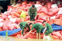 Lực lượng vũ trang giúp người dân xã Cổ Đạm (Hà Tĩnh) di chuyển kho lúa bị ngập lụt sau khi bão tan.Ảnh: NGÔ TUẤN