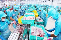 Chế biến cá tra phi-lê xuất khẩu ở nhà máy của Tập đoàn Sao Mai, tỉnh An Giang. Ảnh: VŨ SINH