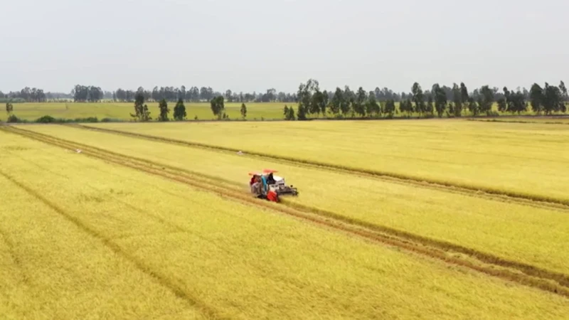 [Video] Forming 5 standard agricultural and forestry product material areas