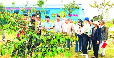 Ông Nguyễn Hồng Lam (áo vest), Chủ tịch Công ty cổ phần Tập đoàn Quế Lâm, Chủ tịch Hội Nông nghiệp tuần hoàn Việt Nam đang hướng dẫn cho bà con nông dân tại mô hình 4F.