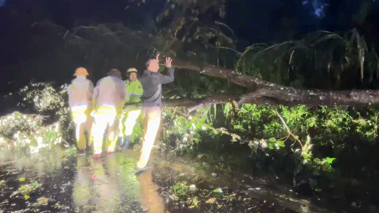 Gió bão là ngã cây xanh tại Km 19 đường tránh Buôn Hồ, tỉnh Đắk Lắk gây ách tắc giao thông. Lực lượng cảnh sát giao thông Công an tỉnh Đắk Lắk nhanh chóng có mặt tại hiện trường để xử lý. Video: Công Lý