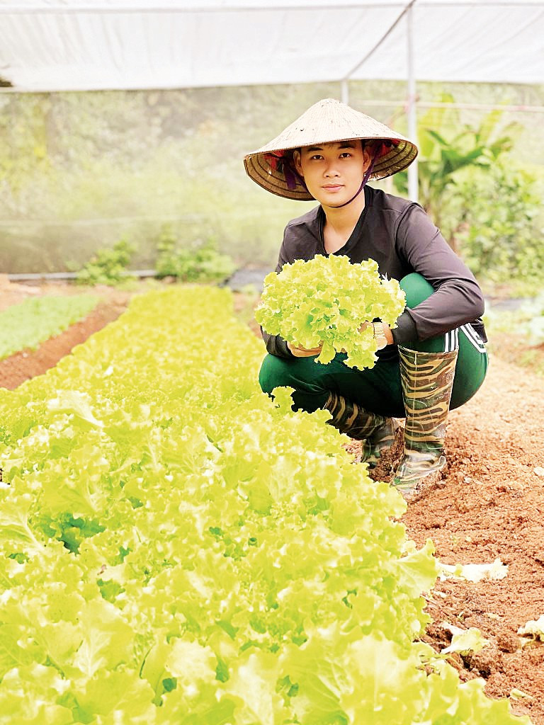 Hoàng Mạnh Tuấn bên vườn rau hữu cơ. anh-hoang-manh-tuan-ben-vuon-rau-huu-co.jpg
