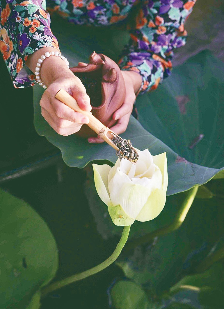 Trà ướp hoa sen. a3.jpg