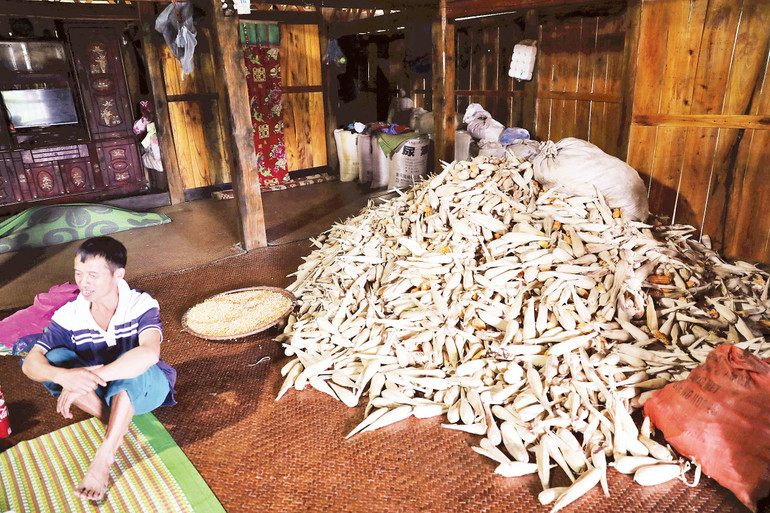 Hình ảnh quen thuộc ở Khuổi Khon sau mùa thu hoạch. khuoi-khon.jpg