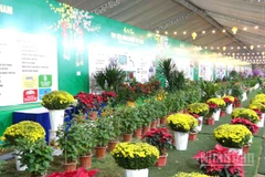 Hội chợ Xuân 2026 của Học viện Nông nghiệp Việt Nam được thiết kế như một không gian văn hóa-sáng tạo giàu ý nghĩa, góp phần tôn vinh bản sắc Tết cổ truyền dân tộc.