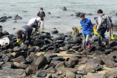 Đoàn viên, thanh niên tỉnh Phú Yên dọn rác ở bờ biển Hòn Yến, Phú Yên. (Ảnh TTXVN)