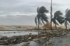 Bộ Nông nghiệp và Môi trường đề nghị Ủy ban nhân dân các địa phương khẩn trương huy động lực lượng, phương tiện để kêu gọi, hướng dẫn hoặc áp dụng biện pháp cần thiết đưa tàu thuyền vào nơi neo đậu an toàn. (Ảnh minh họa: TTXVN)