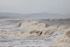 Bộ Nông nghiệp và Môi trường đề nghị các địa phương chủ động ứng phó vùng áp thấp có khả năng mạnh lên thành áp thấp nhiệt đới. (Ảnh minh họa)