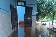 Hơn 300 ngôi nhà của xã Đại Hưng, huyện Đại Lộc, tỉnh Quảng Nam bị ngập dưới 1m.