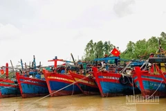 Hiện bốn địa phương Quảng Ninh, Hải Phòng, Hưng Yên và Ninh Bình đã ban hành lệnh cấm biển.