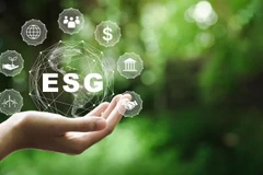 Năm 2025 nên được coi là giai đoạn thử nghiệm kiểm kê nội bộ để doanh nghiệp làm quen, chuẩn bị kỹ lưỡng trước khi nghĩa vụ chính thức được thực hiện từ năm 2026.